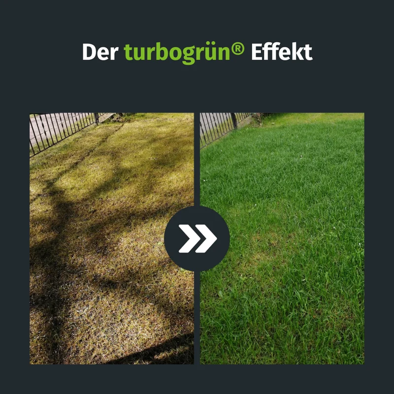 Rasendünger Jahrespaket (125 m²)