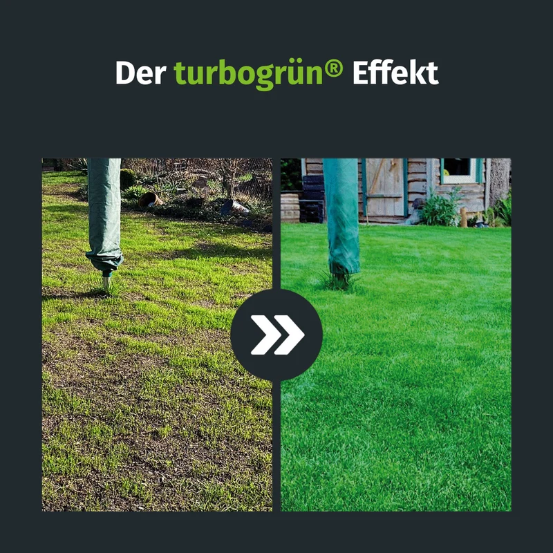 Herbst Starter-Set inkl. gratis Rasenkurs (1000m²)