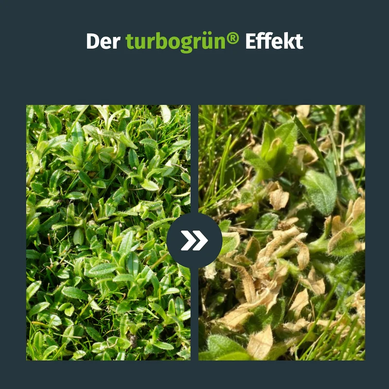 Unkrautvernichter mit Spritze (100 m²)