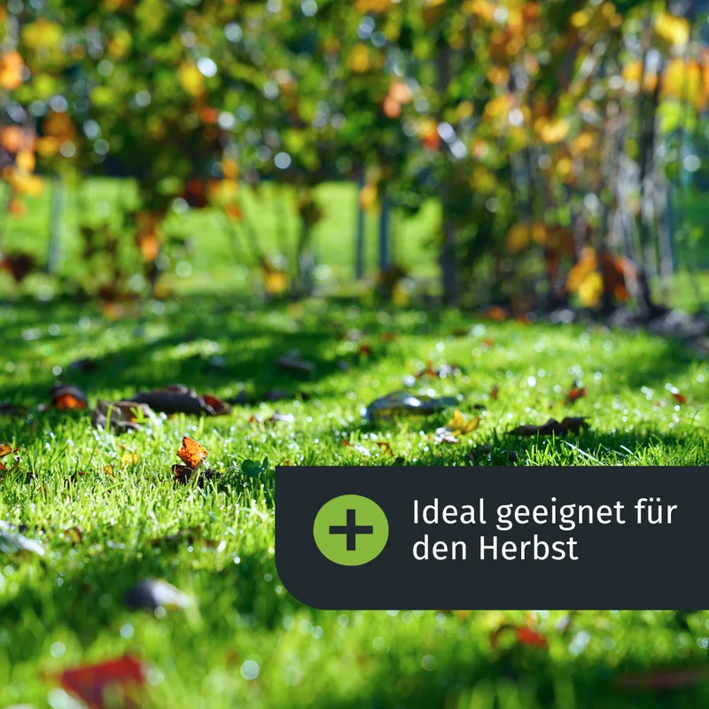 Herbst Starter-Set inkl. gratis Rasenkurs (1000m²)
