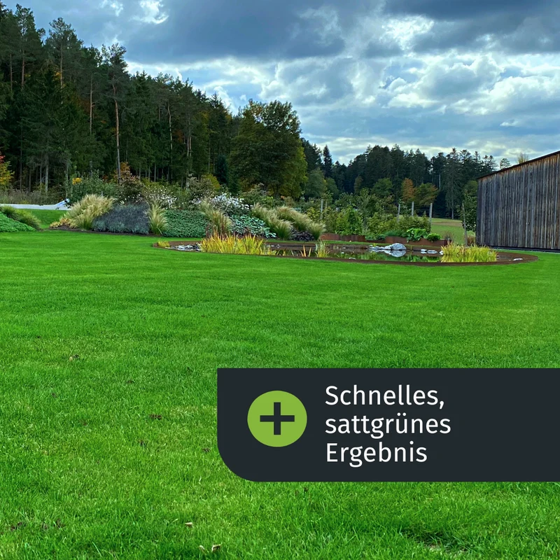 Herbst Rasenset + GRATIS Unkrautvernichter (1000 m²)