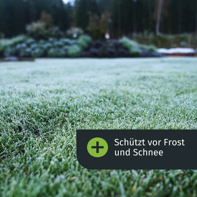 Herbst Starter-Set inkl. gratis Rasenkurs (1000m²)