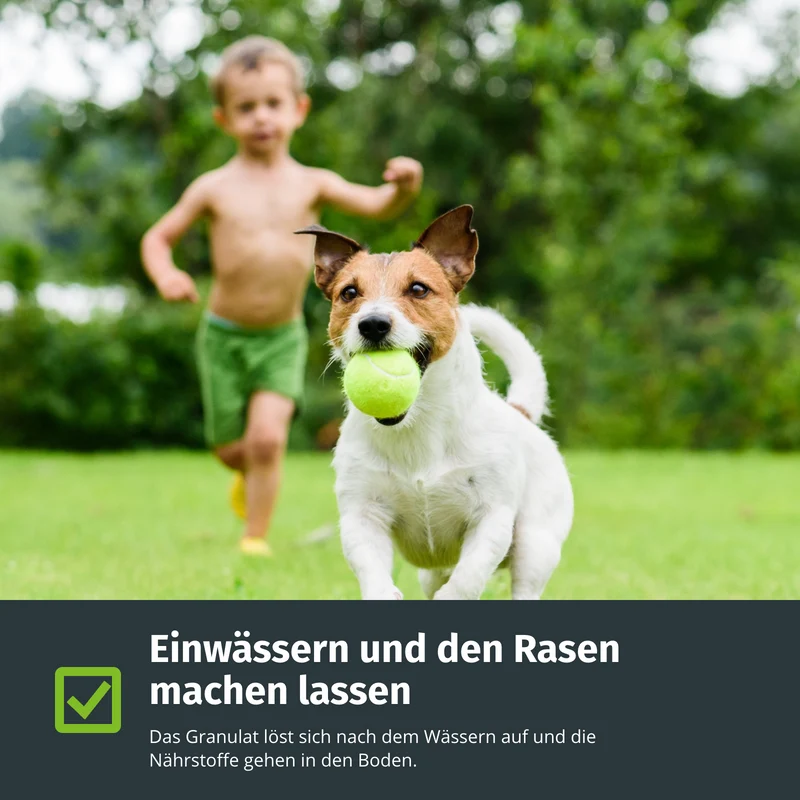 Premium Frühjahr-Rasendünger / Langzeit-Rasendünger