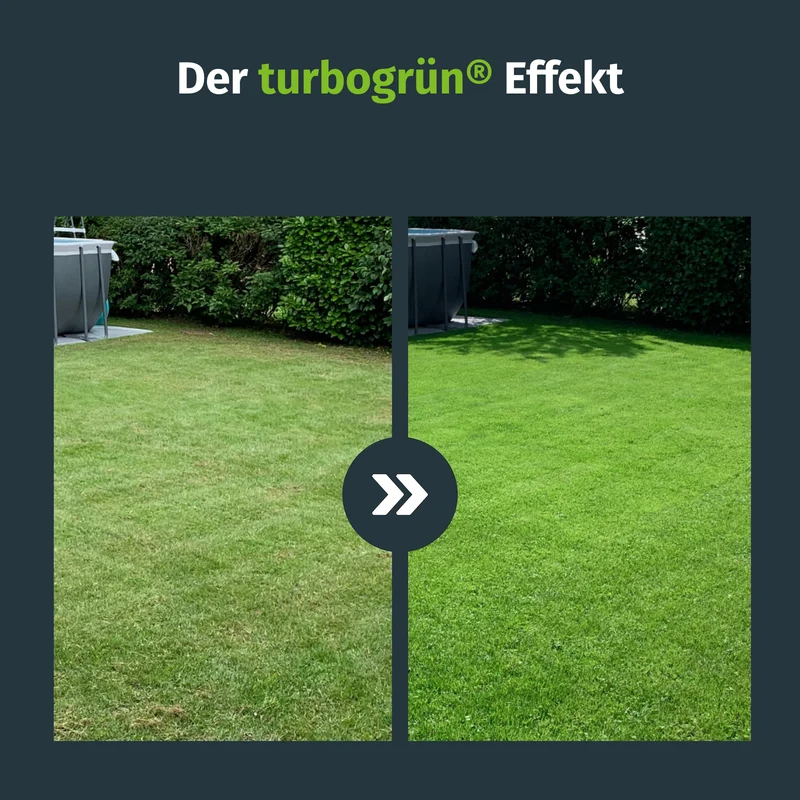 Langzeit-Rasendünger / Frühjahr-Rasendünger