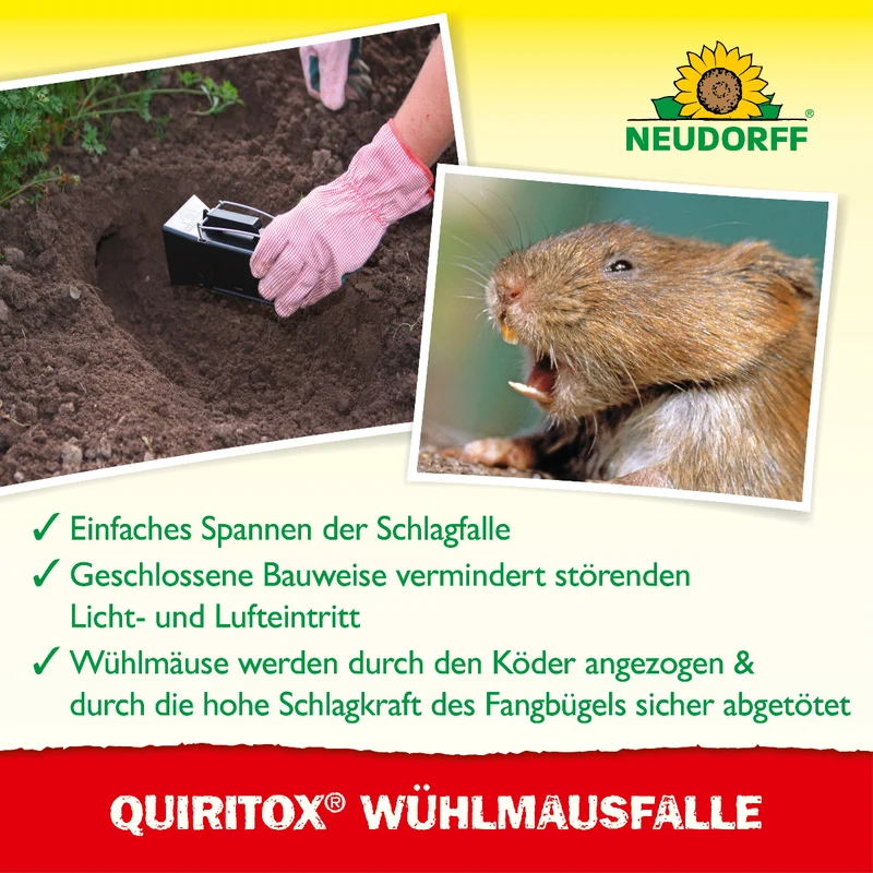 Quiritox WühlmausFalle