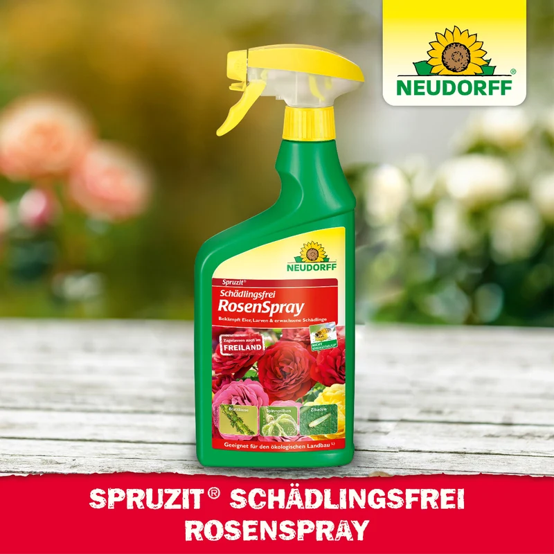 Spruzit Schädlingsfrei RosenSpray