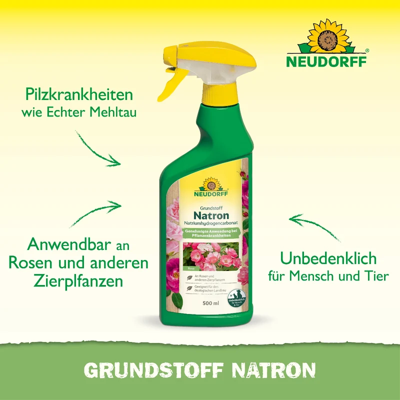 Grundstoff Natron 500ml