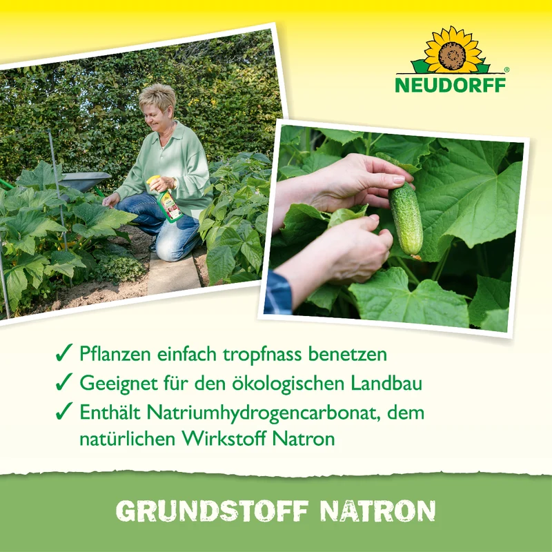 Grundstoff Natron 500ml