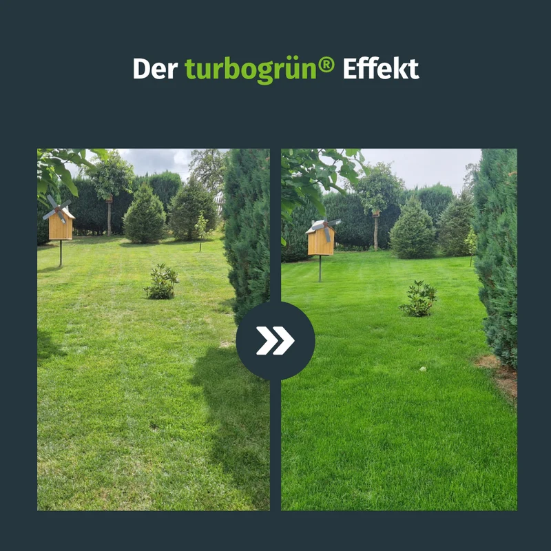 Wassermanager