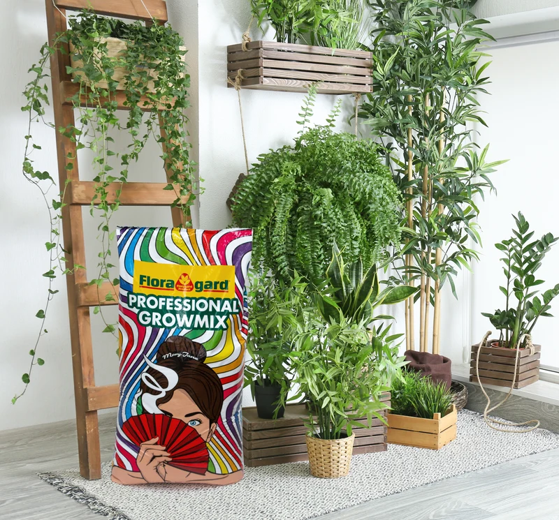 Floragard Professional Growmix 70 Liter – Topfsubstrat mit Perlite – mit Trichoderma für die natürliche Stärkung der Pflanze