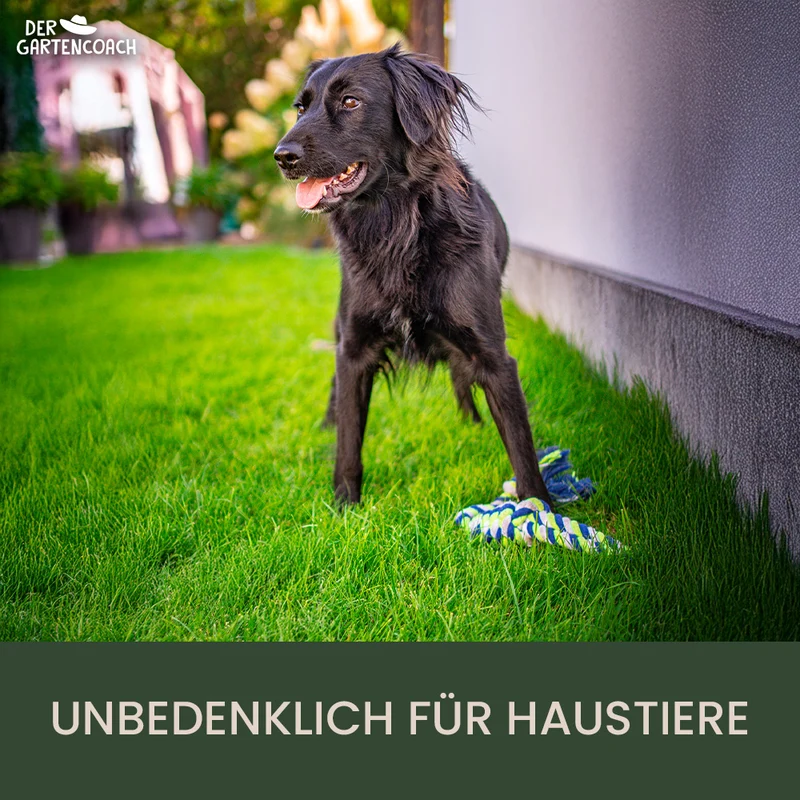 Gartencoach Rasendünger 5 kg – Für dichten & gesunden Rasen