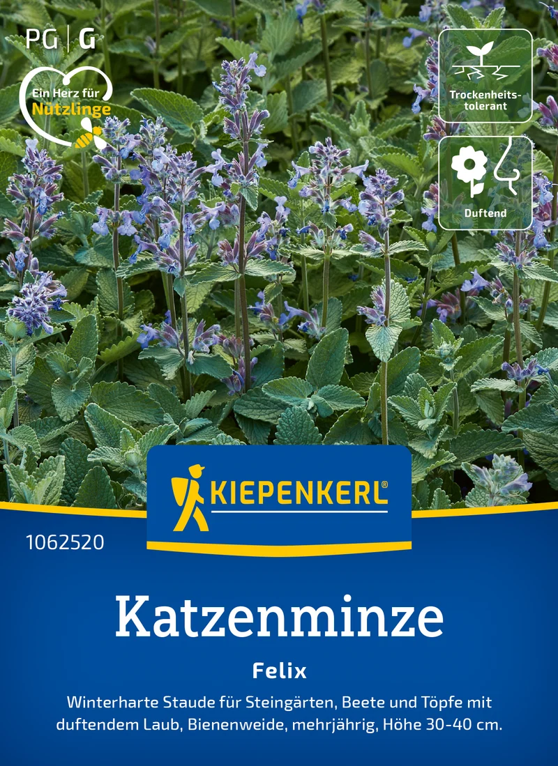 Katzenminzesamen Felix