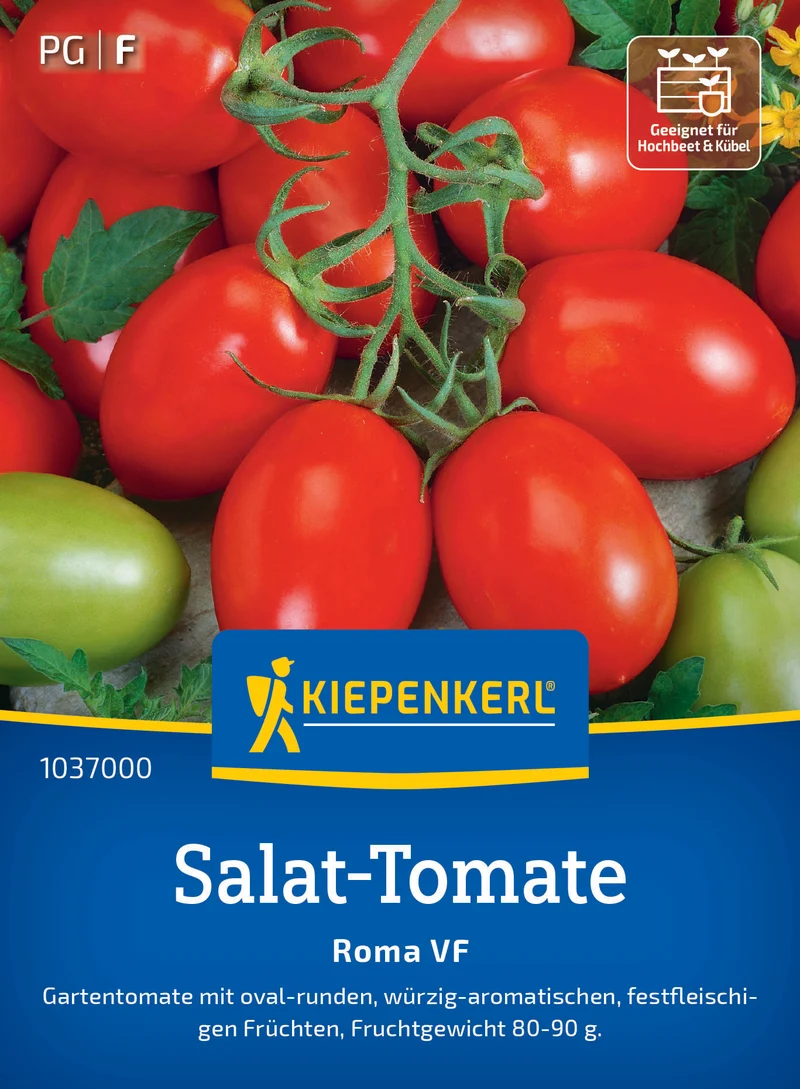 Salat-Tomatensamen Roma