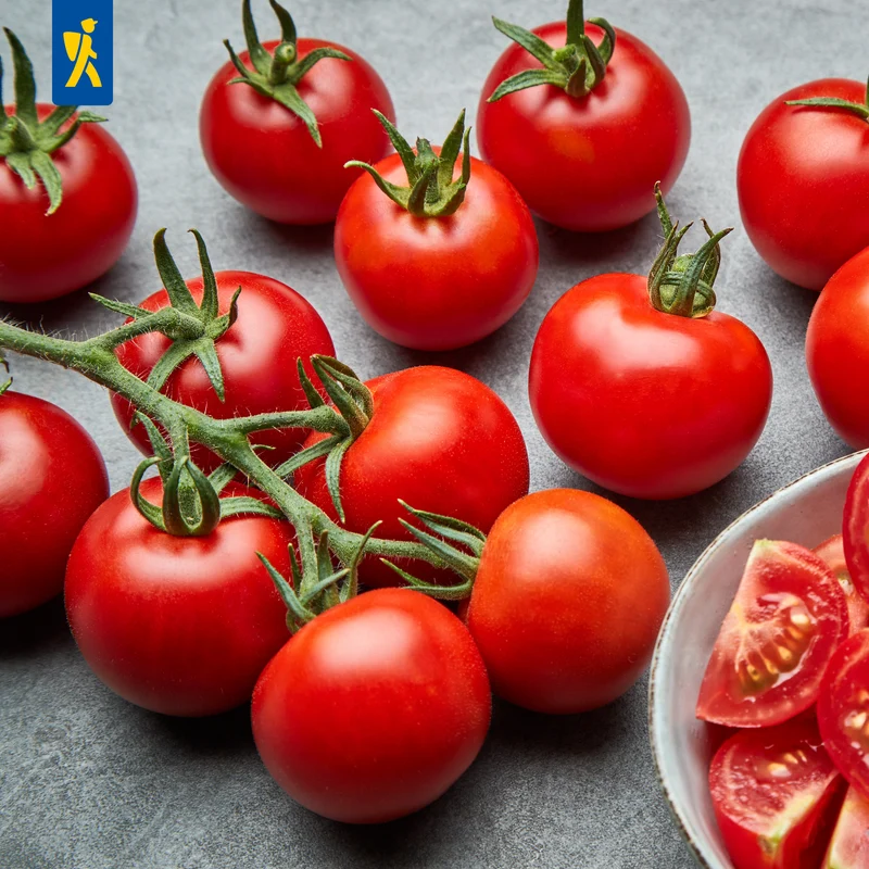 Salat-Tomatensamen Moneymaker