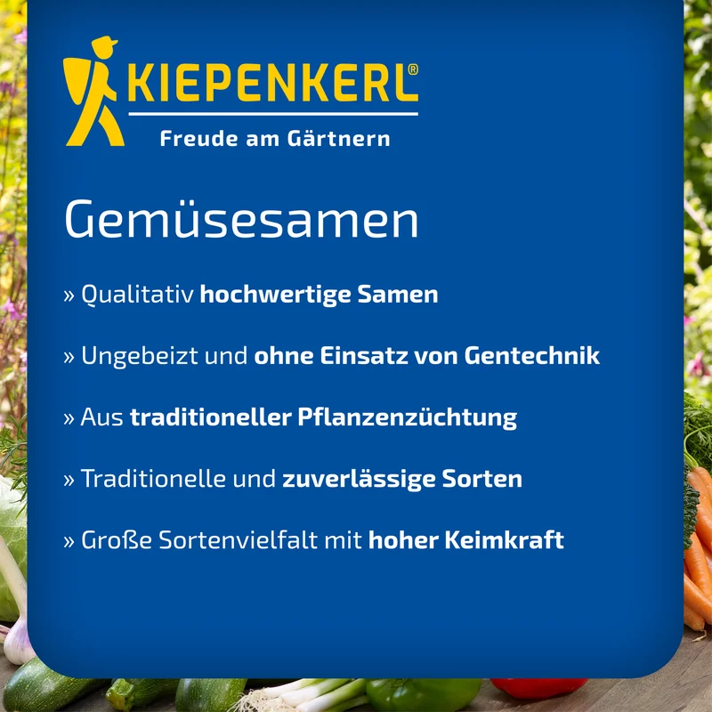 Salat-Tomatensamen Moneymaker
