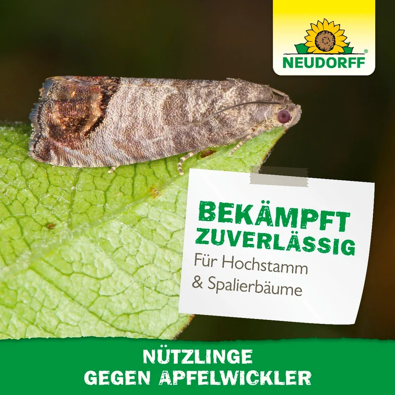 Nützlinge gegen Apfelwickler