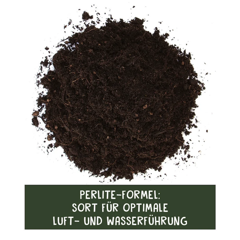 Floragard Bio Aussaat- & Kräutererde – Für zuverlässige Keimung & aromatische Kräuter - 10l