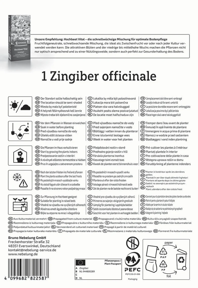 Ingwer