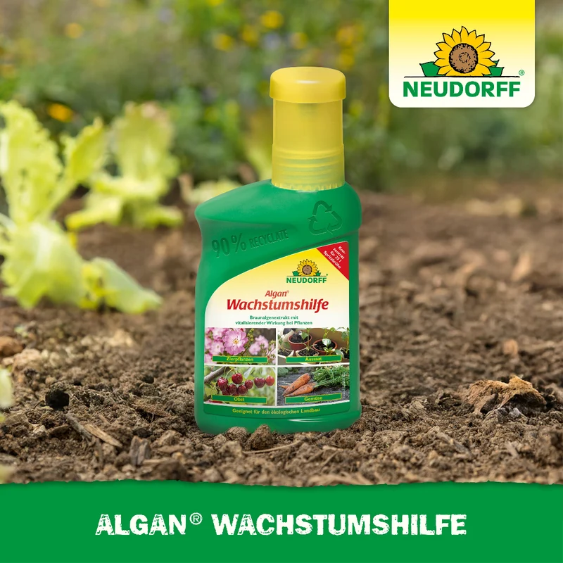 Algan Wachstumshilfe
