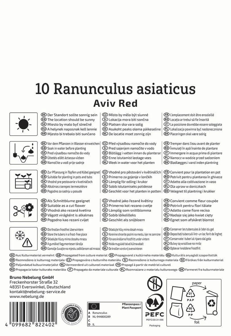 Ranunkeln Rot