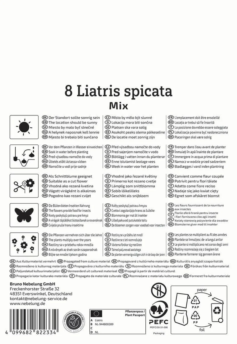 Prachtscharte Liatris Blau und Weiß