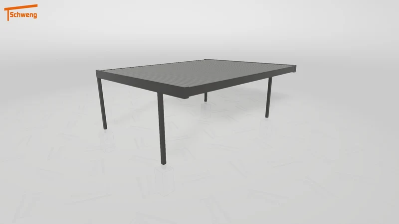 #DE Schweng Flachdachcarport C600 (ID 5mx2gk) #MTG