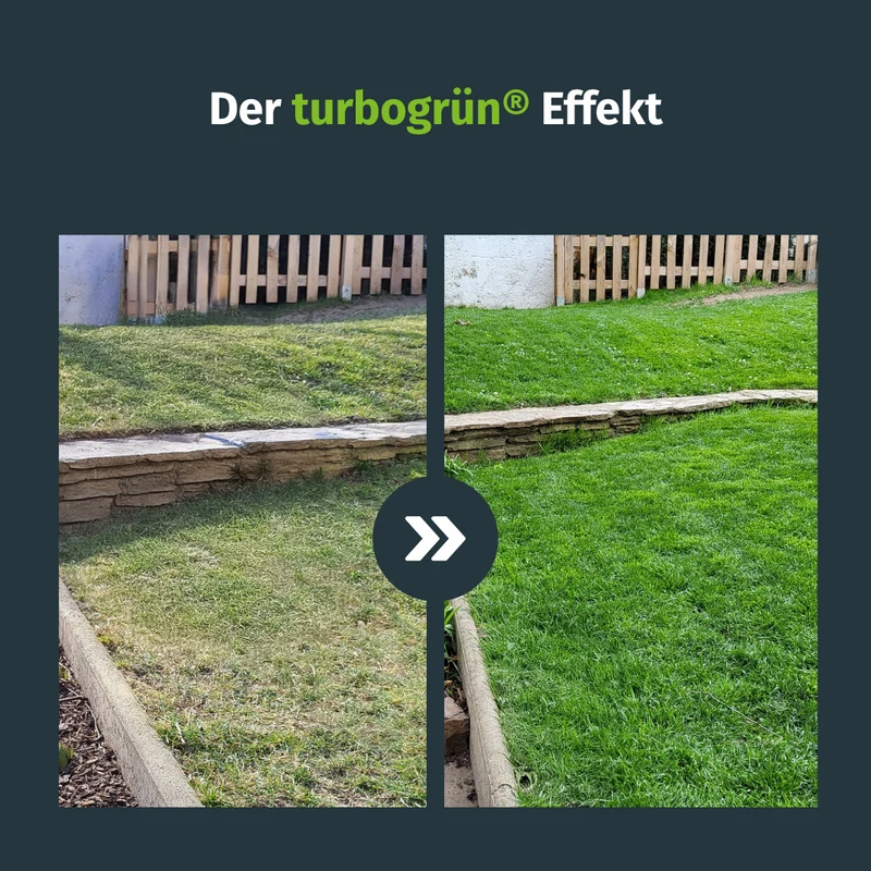 Klassik Dünger-Abo