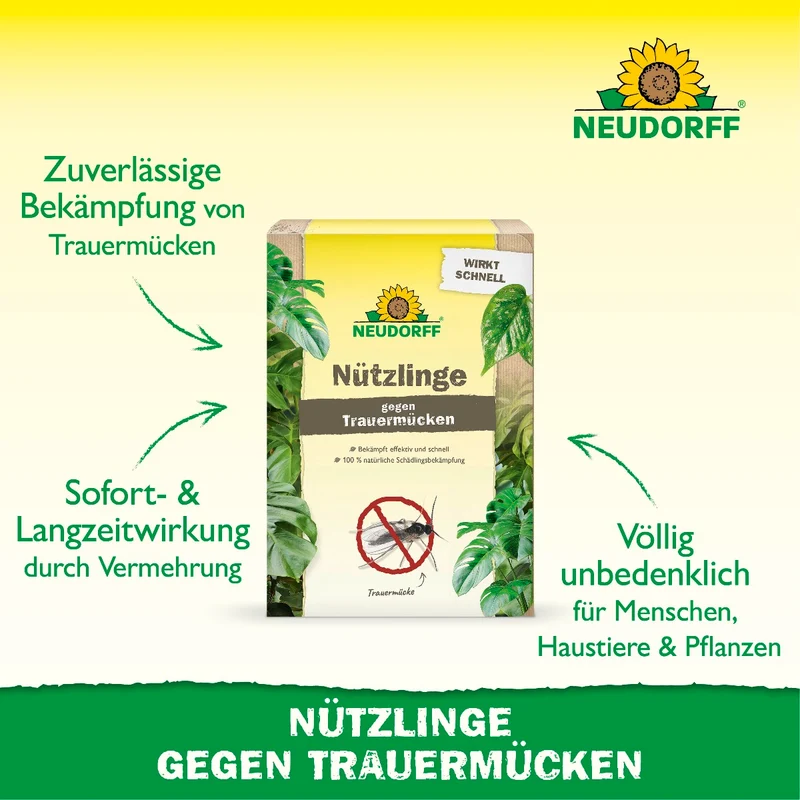 Nützlinge gegen Trauermücken