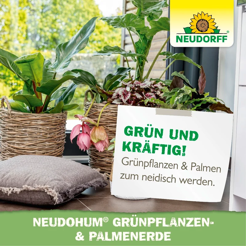 NeudoHum Grünpflanzen- & PalmenErde