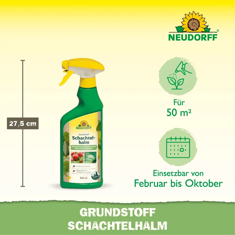 Grundstoff Schachtelhalm