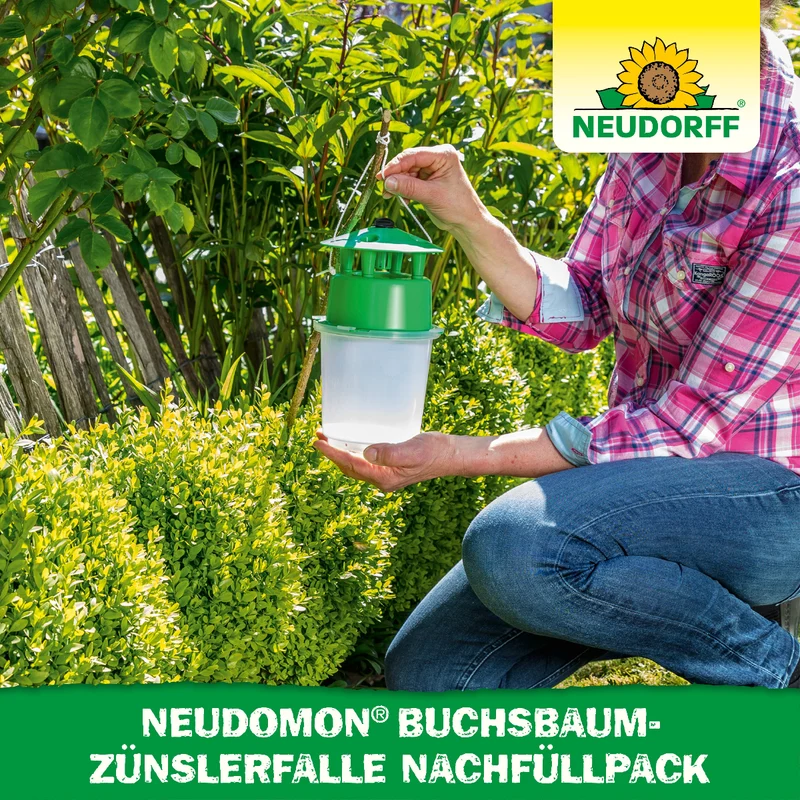 Neudomon BuchsbaumzünslerFalle Nachfüllpack
