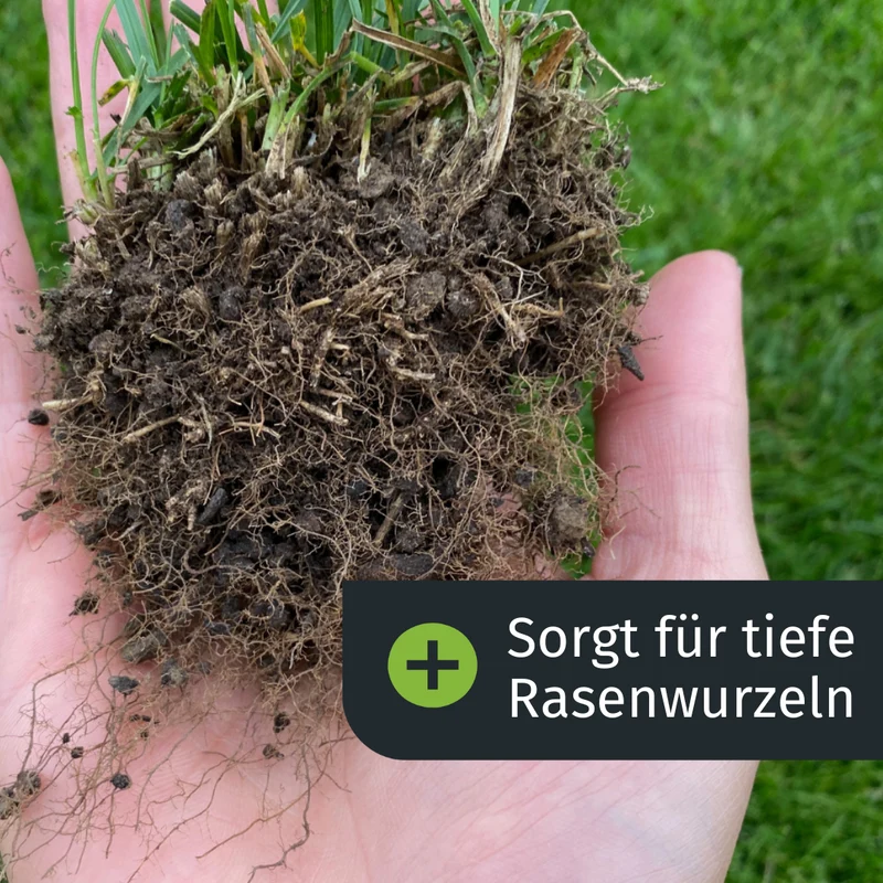 Sommer-Rasenset (1000 m²)
