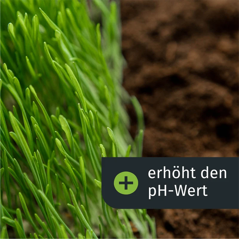 Frühlings Komplett Rasenset (250 m²)