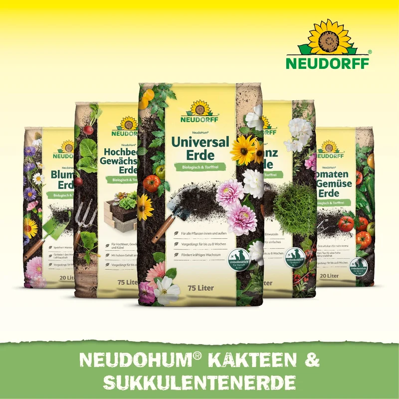 NeudoHum Kakteen & SukkulentenErde