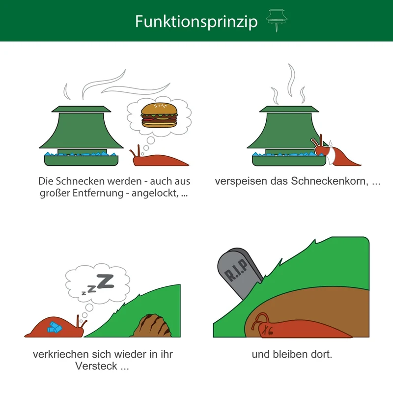 Schneckenfalle