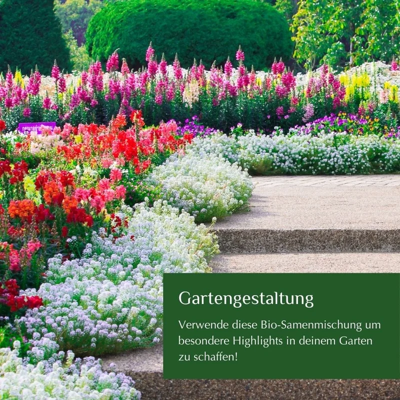 Bio-Wildblumensamen