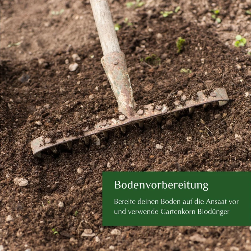 Bio-Wildblumensamen