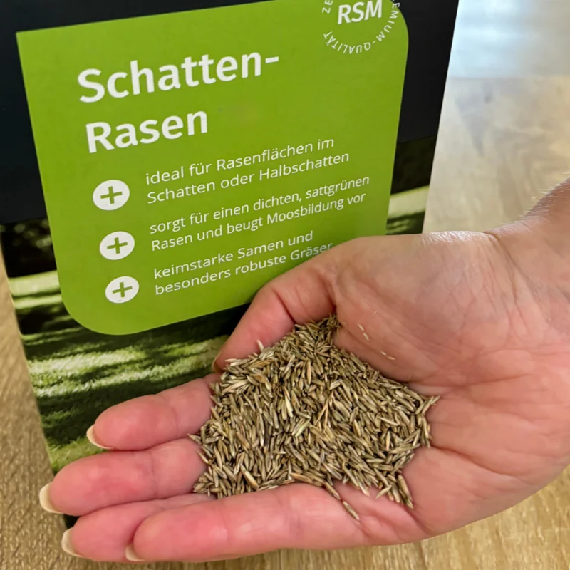 Schattenrasen