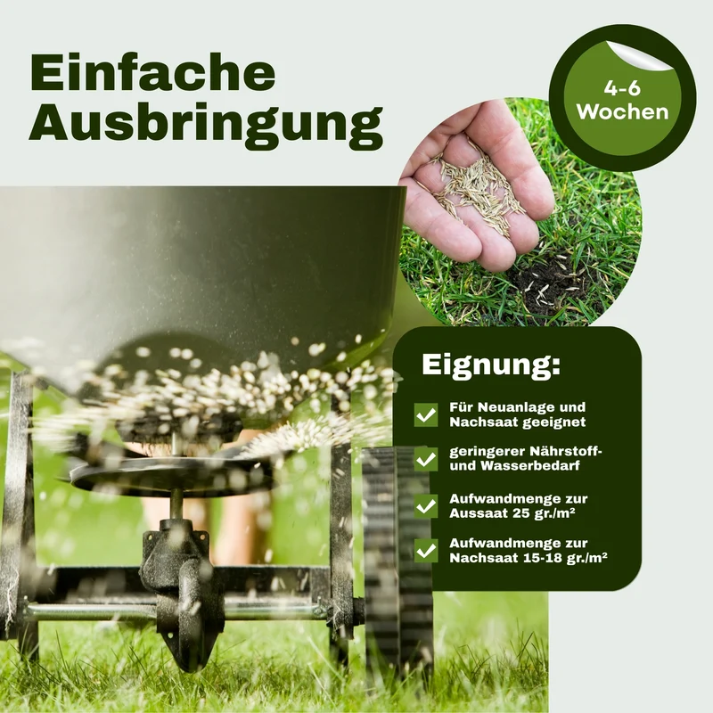 Rasenfreak's Diva Nr. 4 | Der perfekte Zierrasen