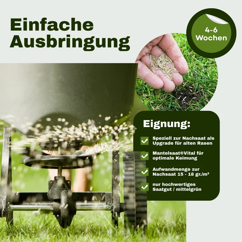 Rasen-Upgrade Nr. 25 | Die schnelle Nachsaat
