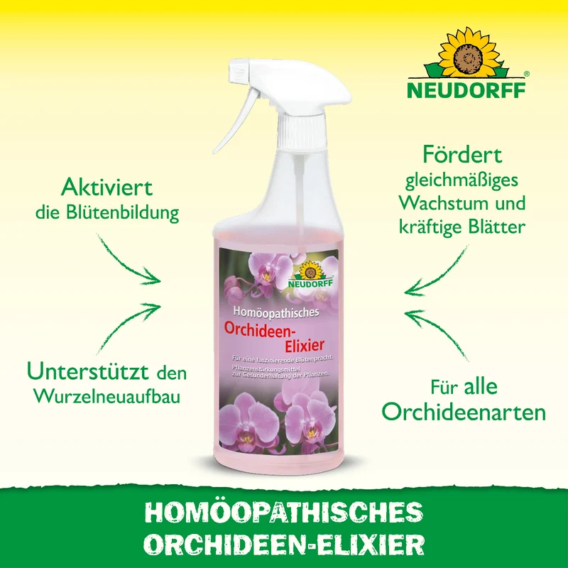 Homöopathisches Orchideen-Elixier