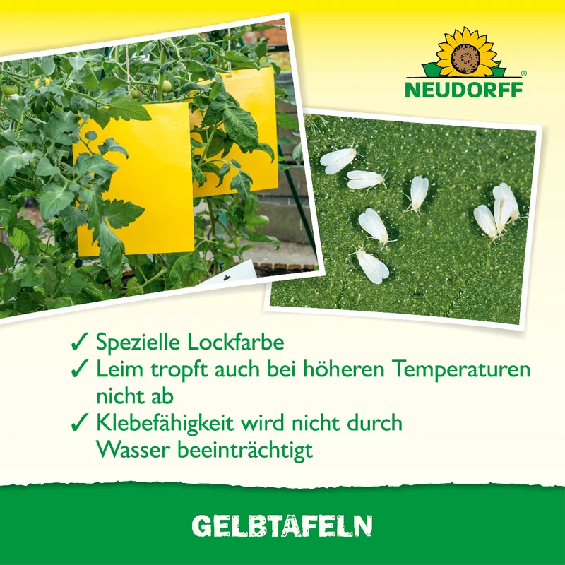 Gelbtafeln (großformatig)