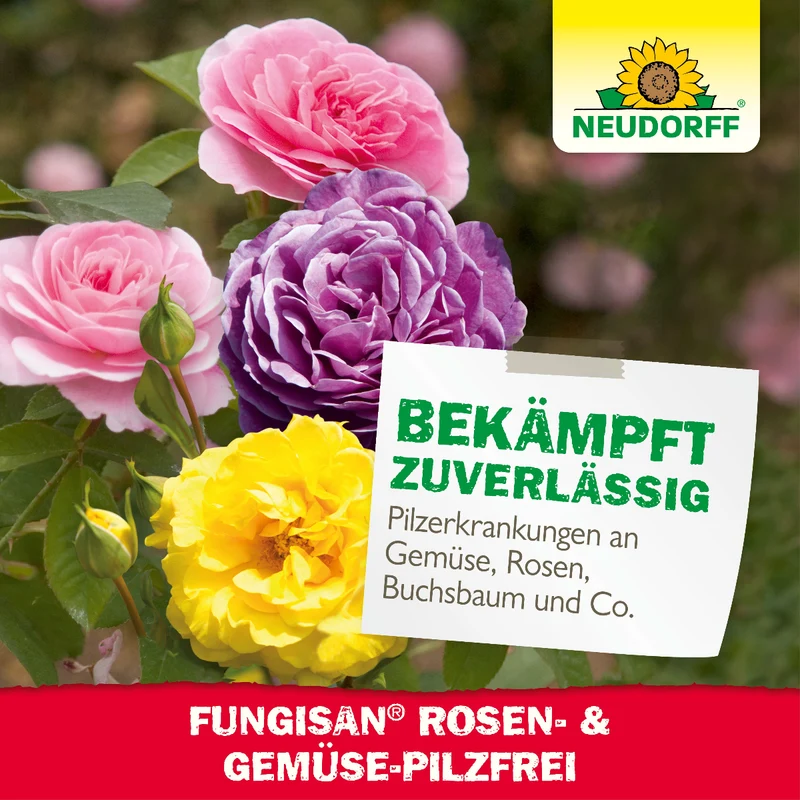 Fungisan Rosen- und Gemüse-Pilzfrei
