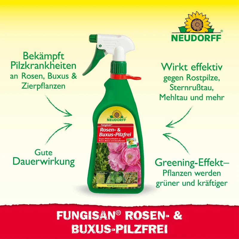 Fungisan Rosen- und Buxus-Pilzfrei
