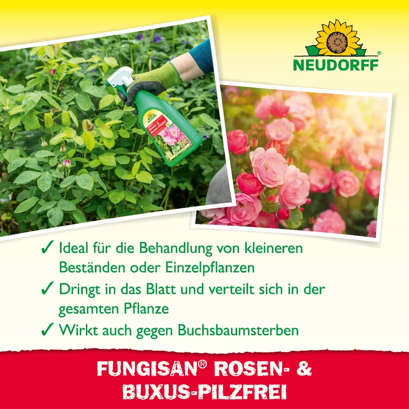 Fungisan Rosen- und Buxus-Pilzfrei