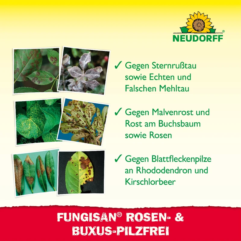 Fungisan Rosen- und Buxus-Pilzfrei