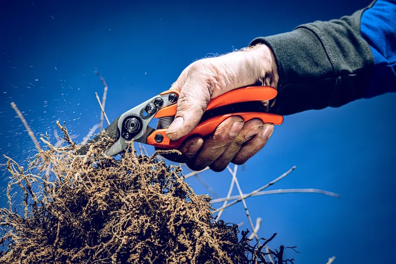 Original LÖWE 11 Bypass-Gartenschere – sauberer Schnitt bis 22 mm