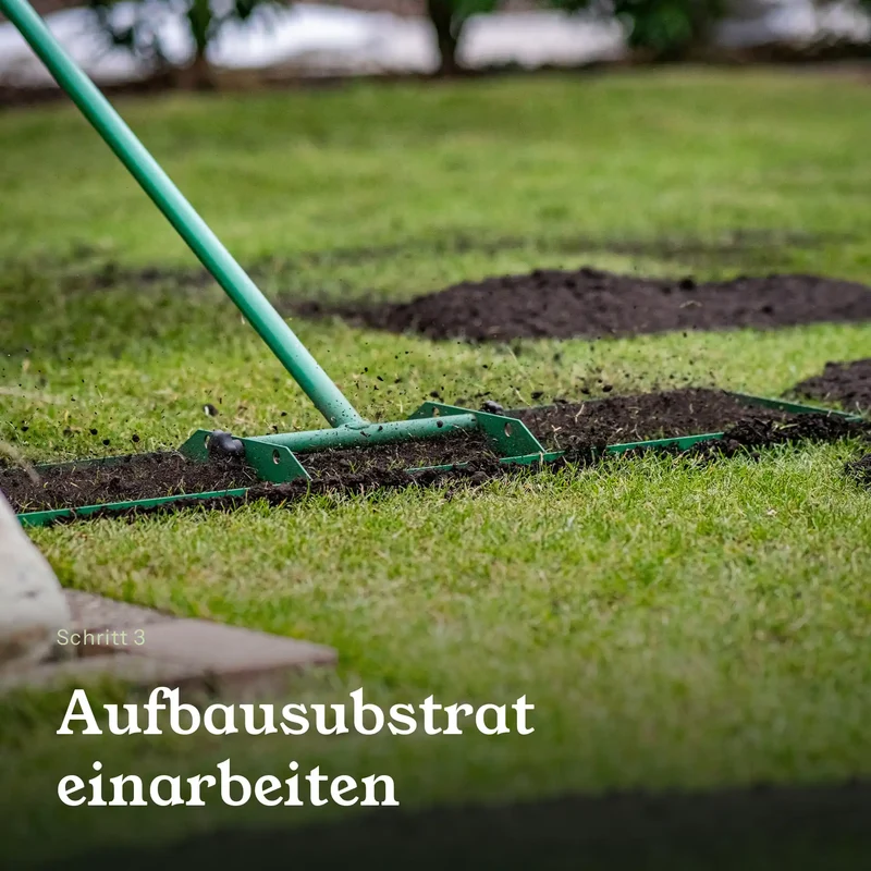 Rasen Vital Komplett Set – Substrat, Bodenaktivator & Rasensaatgut für 100 m²