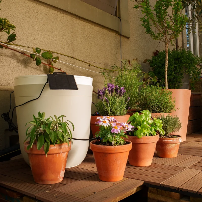 Boum Drip Starterpaket - Smarte Tröpfchenbewässerung für Balkon & Terrasse