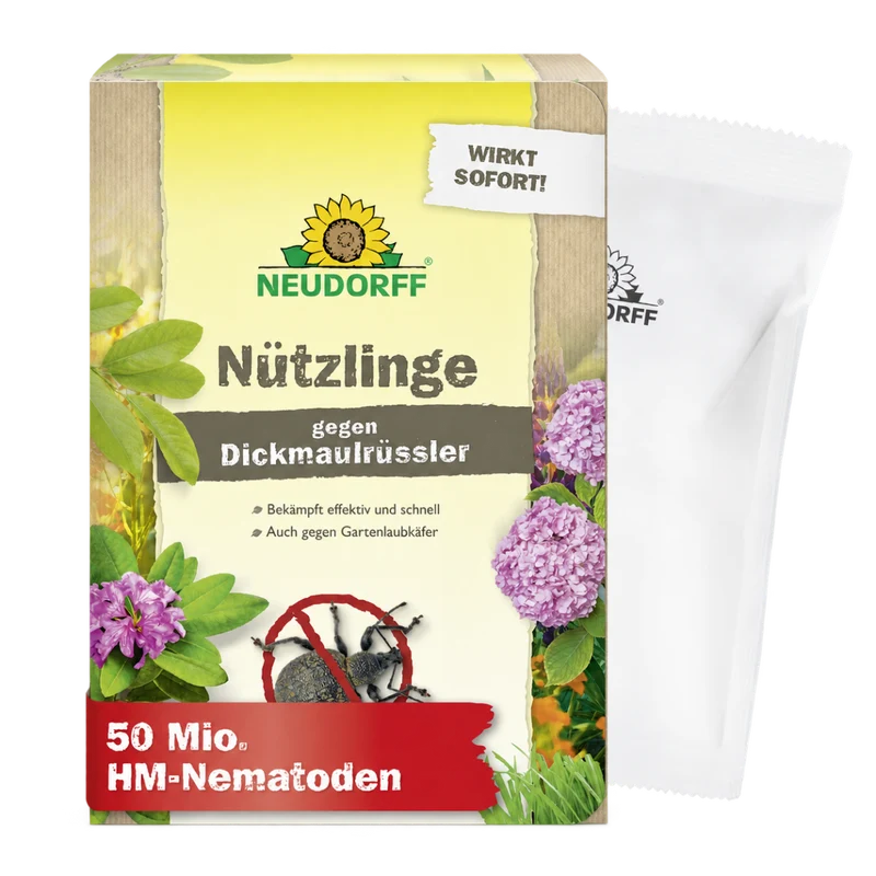 Nützlinge gegen Dickmaulrüssler